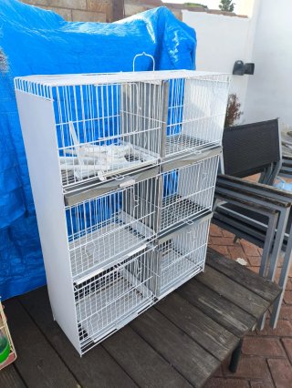 Jaulas para pájaros (varias)