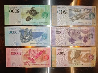 23 Billetes Venezuela