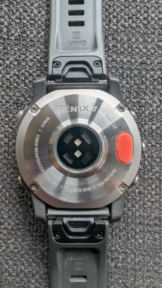 Garmin Fenix 7 Gris/Plata