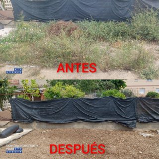 Jardinero
