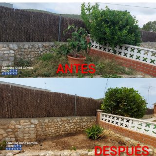Jardinero