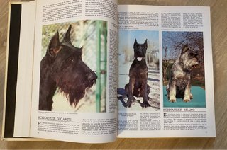 Libro: Los perros del mundo