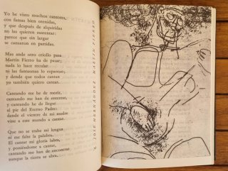 Libro: Martin Fierro - José Hernández