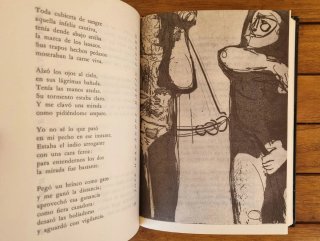 Libro: Martin Fierro - José Hernández