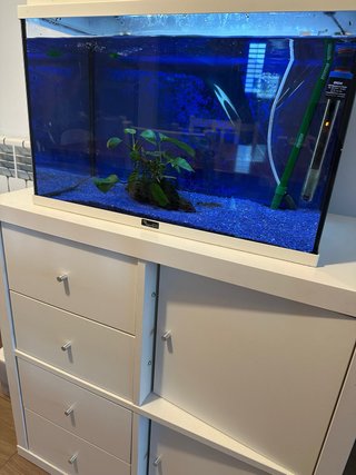 Acuario 50L + Mueble IKEA