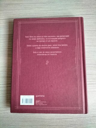 Libro Sinergia - Rebeca Stones
