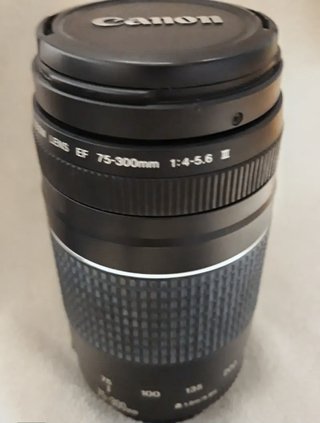 Objetivo Canon EF 75-300mm f/4-5.6 III