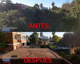 JARDINERO  TRABAJO HECHO EN ELS COCONS