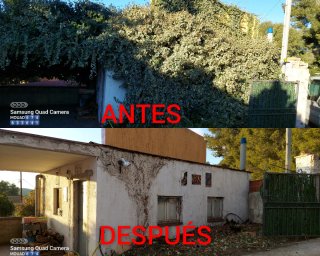 JARDINERO  TRABAJO HECHO EN ELS COCONS