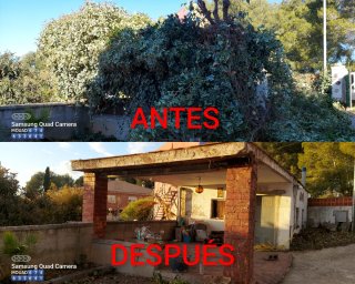JARDINERO  TRABAJO HECHO EN ELS COCONS