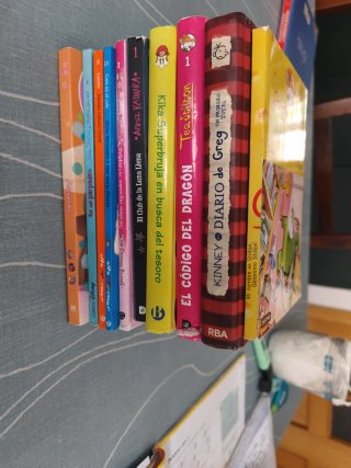 Lote Libros Juveniles Varios Autores