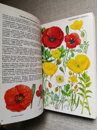 Fleurs de Montagne. Guía de Flores de Montaña.
