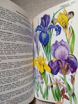 Fleurs de Montagne. Guía de Flores de Montaña.
