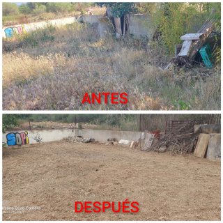 Servicio de jardinería y limpieza de parcelas