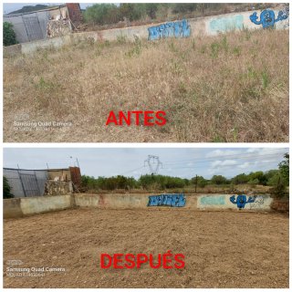 Servicio de jardinería y limpieza de parcelas
