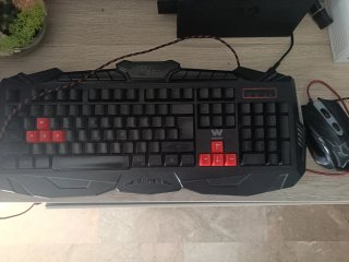 Teclado y ratón
