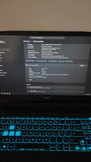 Portátil MSI Katana 17 B13V