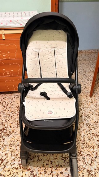 Silla de paseo y capazo
