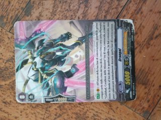 Carte Vanguard Paladino Reale