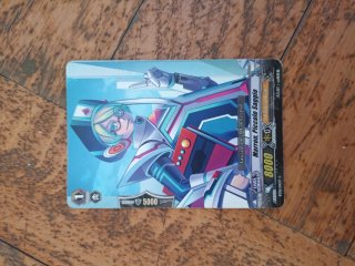 Carte Vanguard Paladino Reale