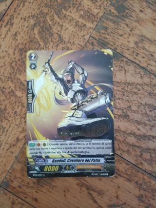 Carte Vanguard Paladino Reale