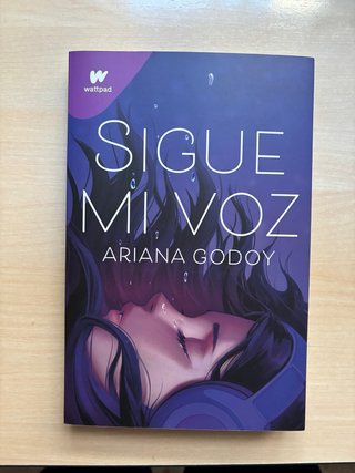 Sigue mi voz