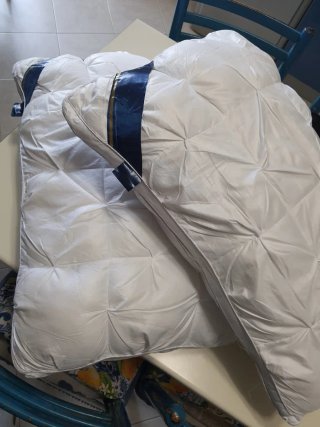 Cuscini vendo x errato acquisto Nuovi