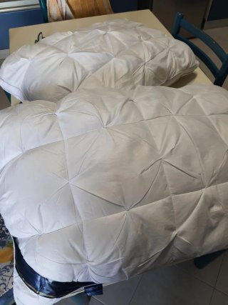 Cuscini vendo x errato acquisto Nuovi