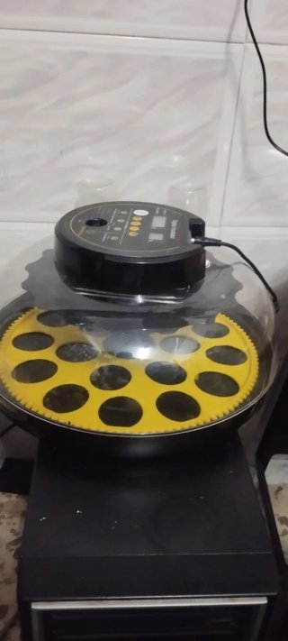 Incubadora Automática LED para Huevos