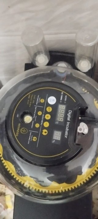 Incubadora Automática LED para Huevos