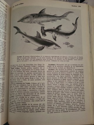 Enciclopedia FOCUS 6 Tomos Año 65