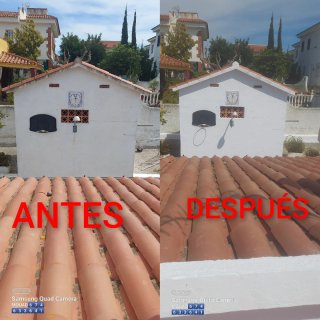 PINTOR ECONÓMICO