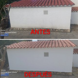 PINTOR ECONÓMICO
