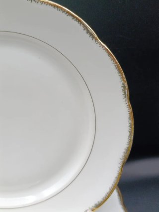 Set platos porcelana francesa SFP