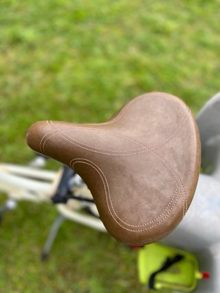 Bicicleta Electra Townie Paseo Mujer