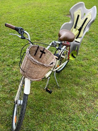 Bicicleta Electra Townie Paseo Mujer