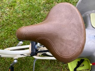 Bicicleta Electra Townie Paseo Mujer