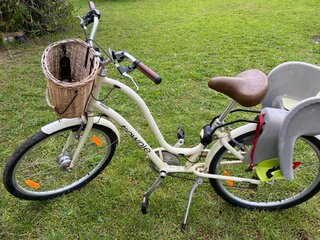 Bicicleta Electra Townie Paseo Mujer