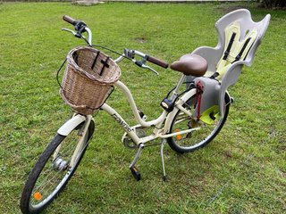 Bicicleta Electra Townie Paseo Mujer