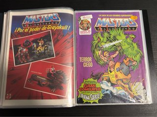 Masters del Universo Vol. 1 (Ed. Zinco)