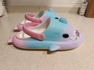 Chanclas tiburón nuevas