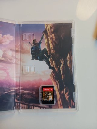 Lote 5 Juegos Nintendo Switch Zelda y Blasphemous