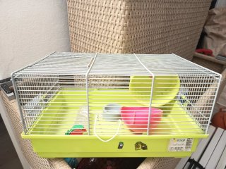 Jaula para mascotas verde y blanca
