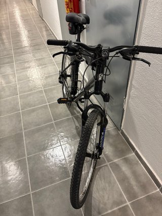 GT Avalanche 3.0