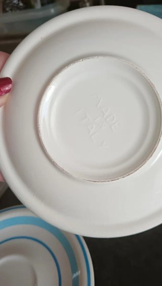 6 Platillos blancos con rayas azules