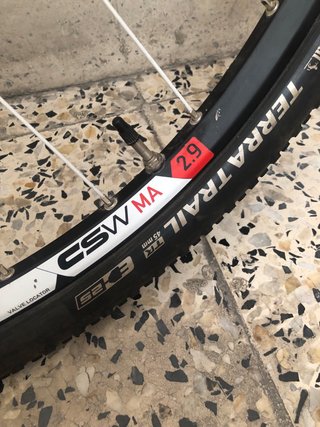DT Swiss CSW MA 2.9 Ruedas MTB