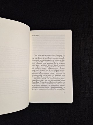 Irene Solà. Canto jo i la muntanya balla