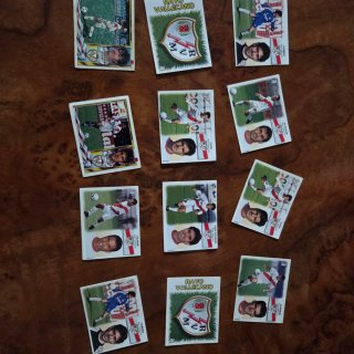 Cromos Rayo Vallecano La Liga
