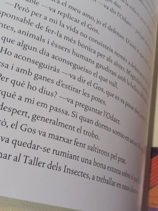 Llibre - El taller de las papallones