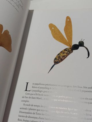 Llibre - El taller de las papallones